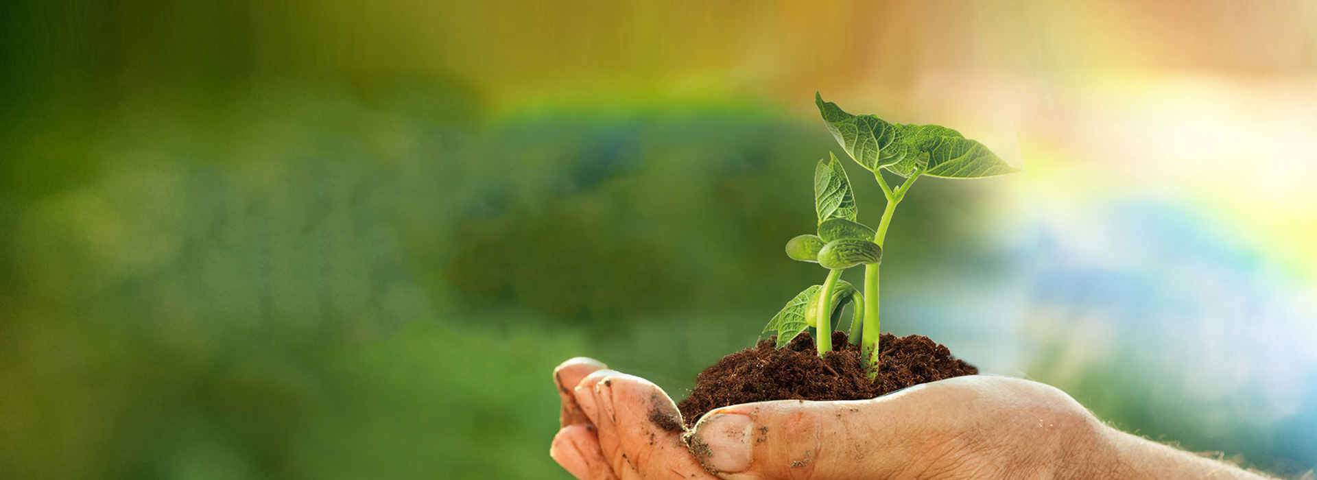 365Ó¢¹úÉÏÊÐ(¼¯ÍÅ)ÓÐÏÞ¹«Ë¾-Official website