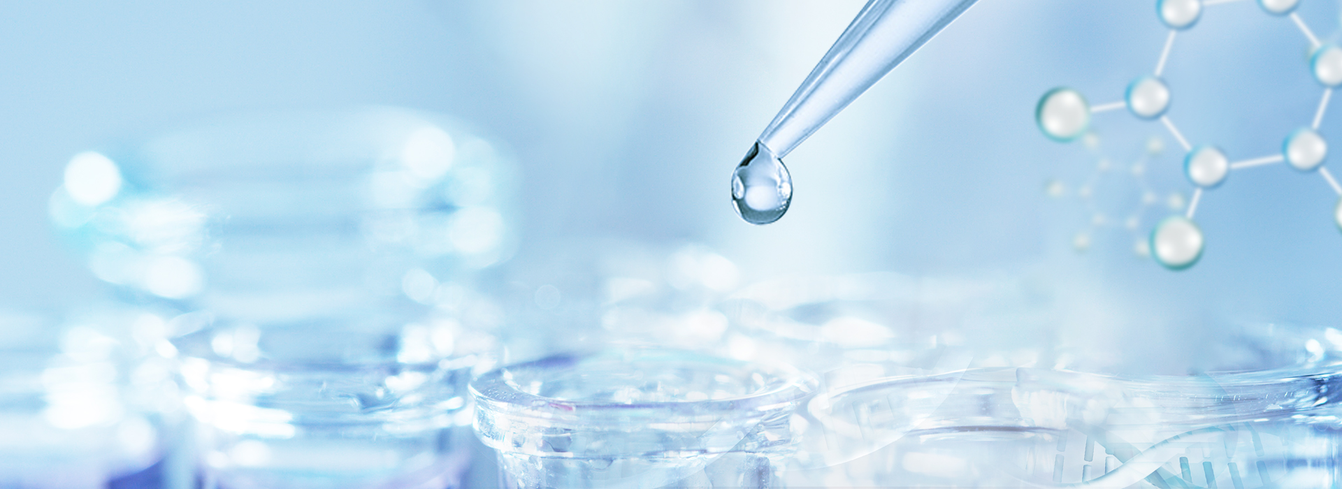 365Ó¢¹úÉÏÊÐ(¼¯ÍÅ)ÓÐÏÞ¹«Ë¾-Official website