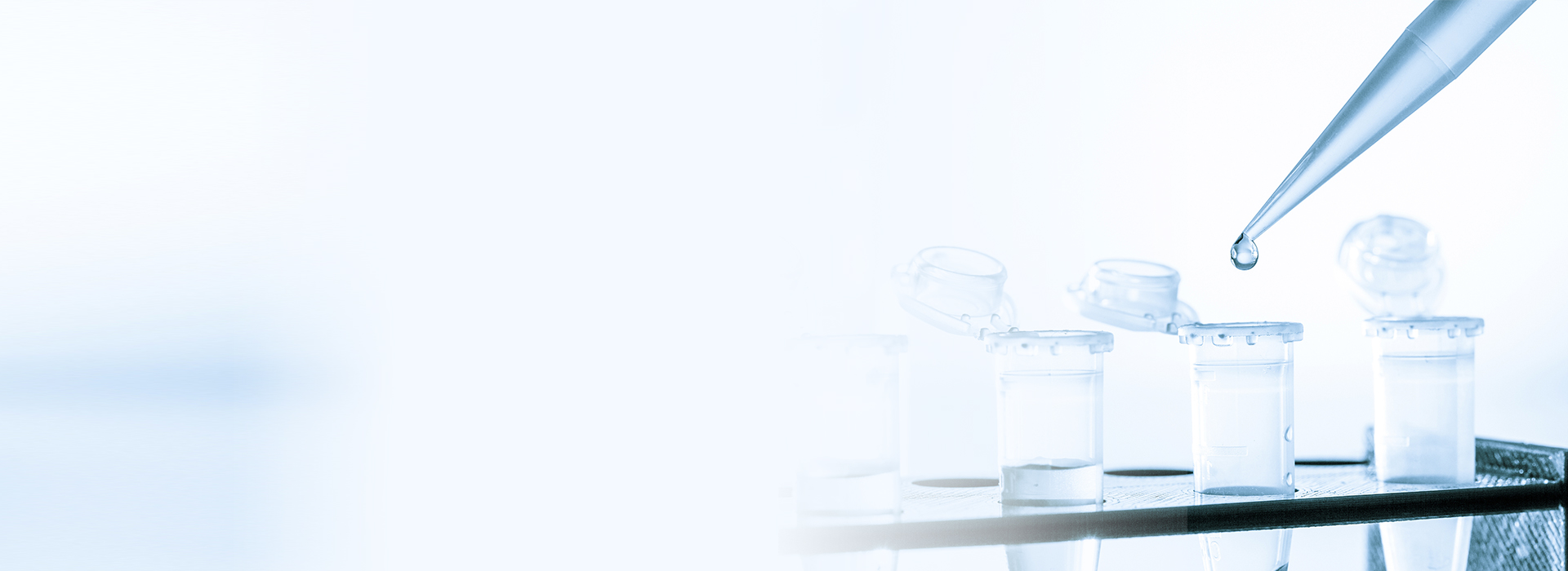 365Ӣ()޹˾-Official website